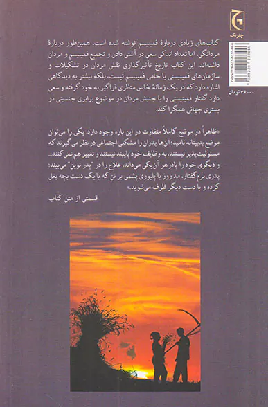 فمینیسم و مردان